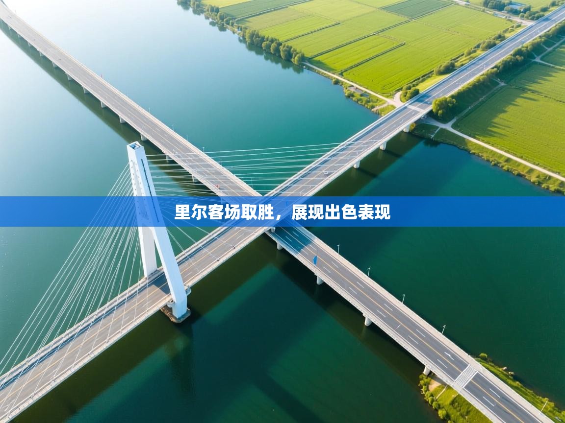 -里尔客场取胜,展现出色表现  第2张