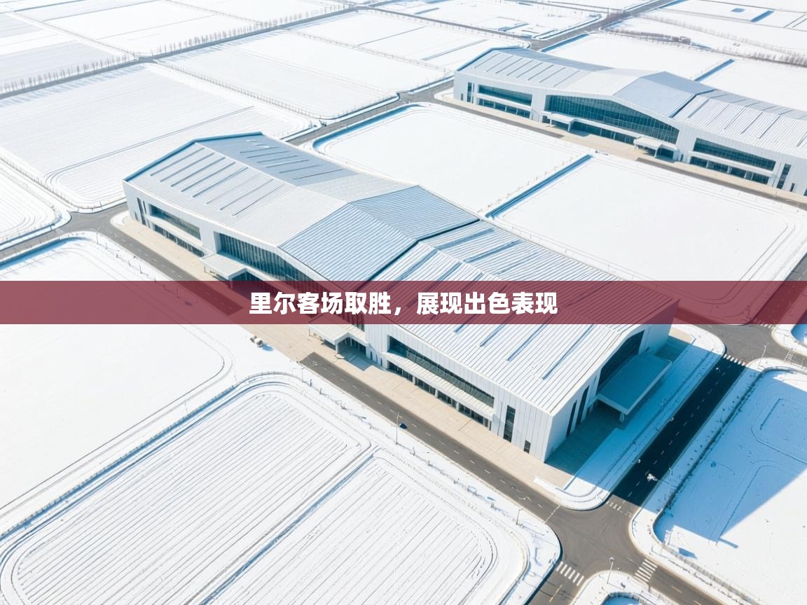 -里尔客场取胜,展现出色表现  第3张