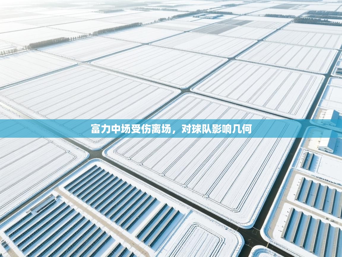 云开体育官方网站登录-富力中场受伤离场，对球队影响几何  第2张