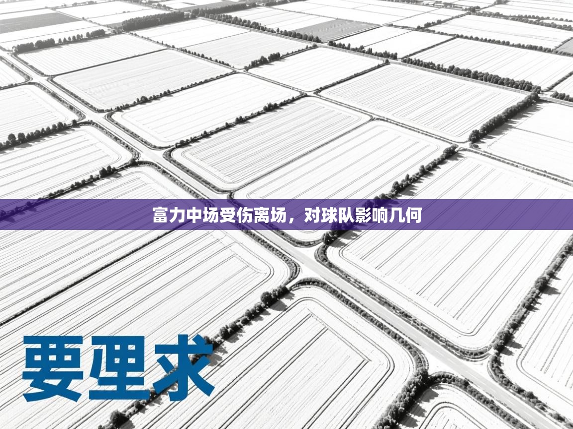 云开体育官方网站登录-富力中场受伤离场，对球队影响几何  第3张