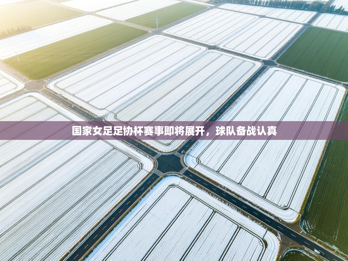开云体育在线-国家女足足协杯赛事即将展开,球队备战认真  第3张