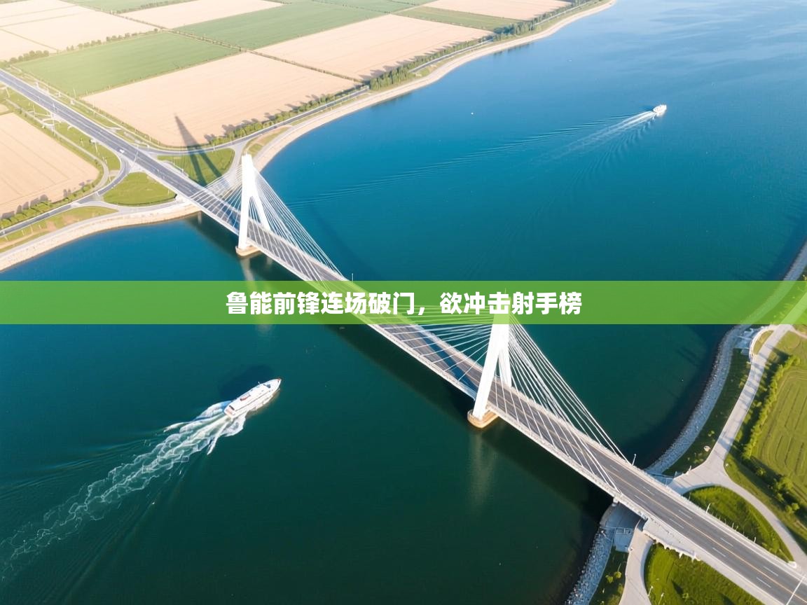 开云网页版-鲁能前锋连场破门,欲冲击射手榜 第4张