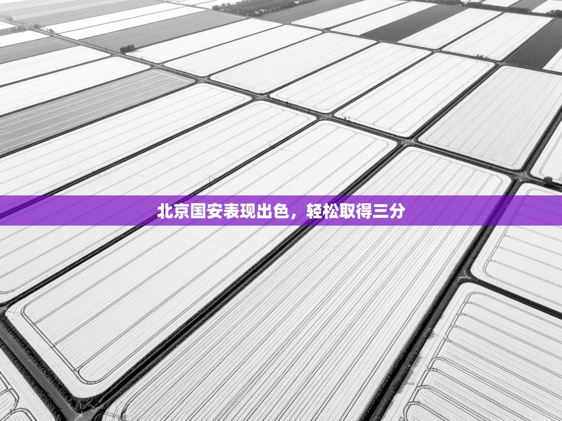 开云体育app下载官网-北京国安表现出色,轻松取得三分 第2张