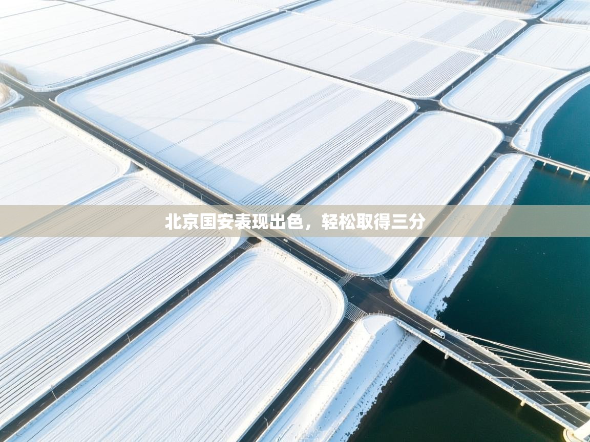 开云体育app下载官网-北京国安表现出色,轻松取得三分 第4张