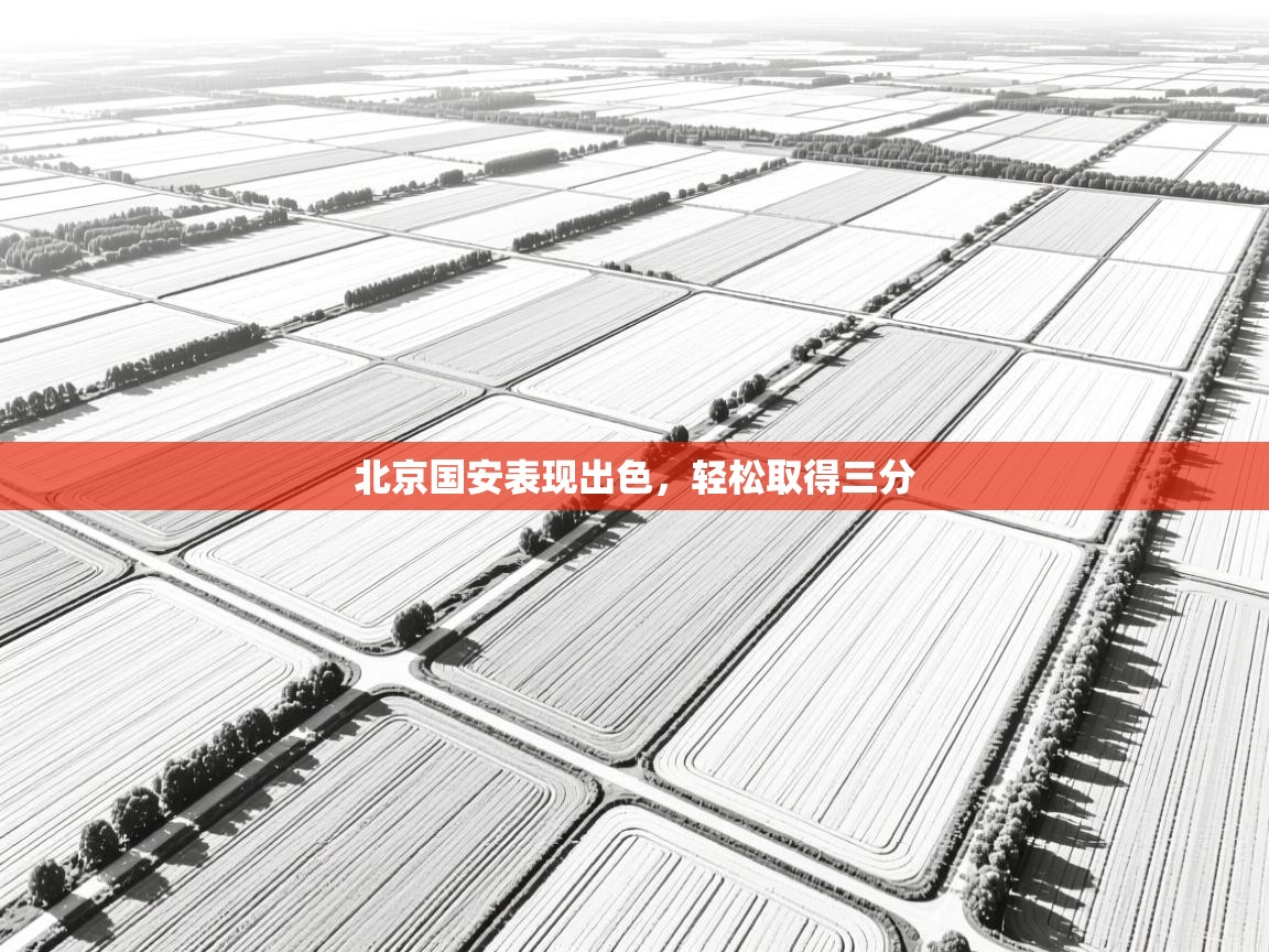 开云体育app下载官网-北京国安表现出色,轻松取得三分 第3张