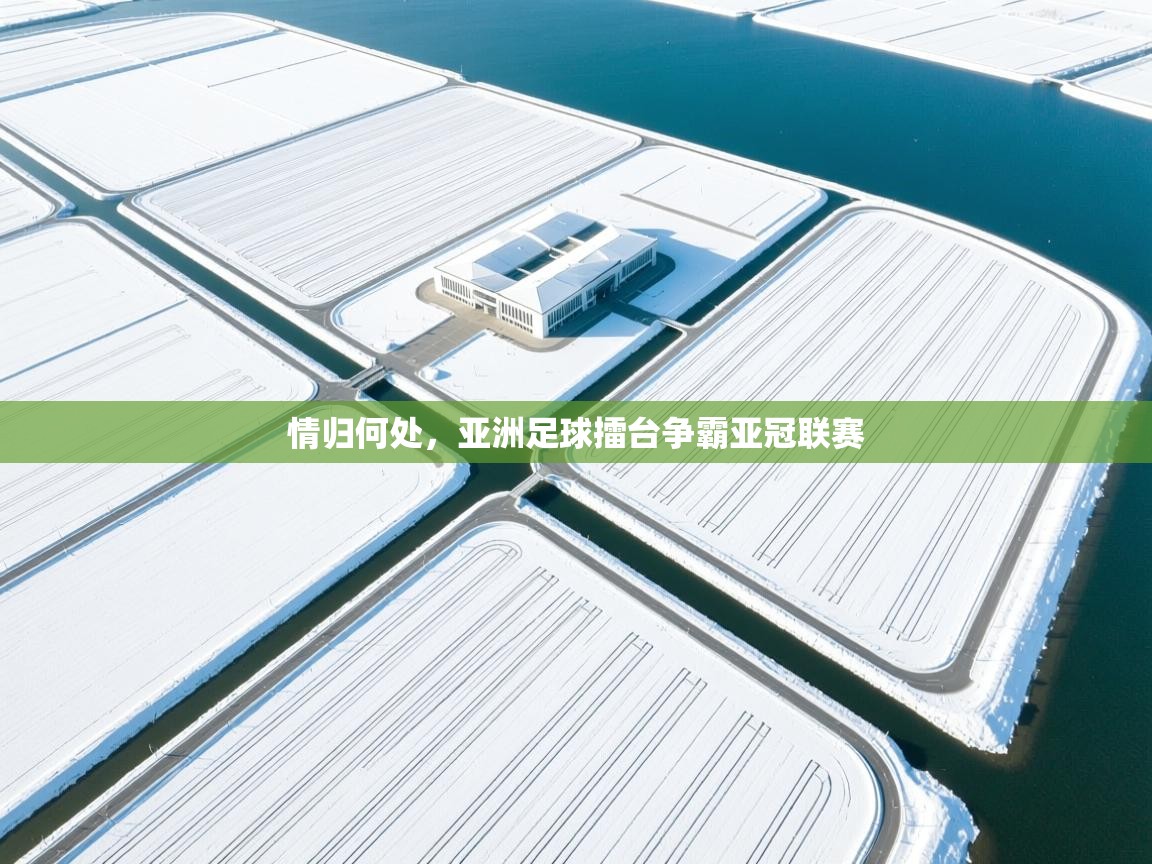 开运体育入口-情归何处,亚洲足球擂台争霸亚冠联赛 第2张