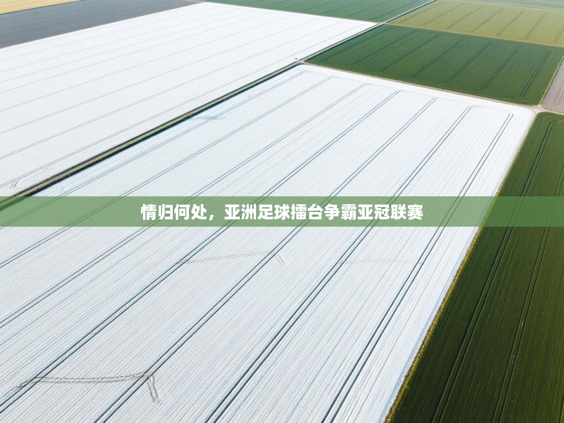 开运体育入口-情归何处,亚洲足球擂台争霸亚冠联赛 第3张