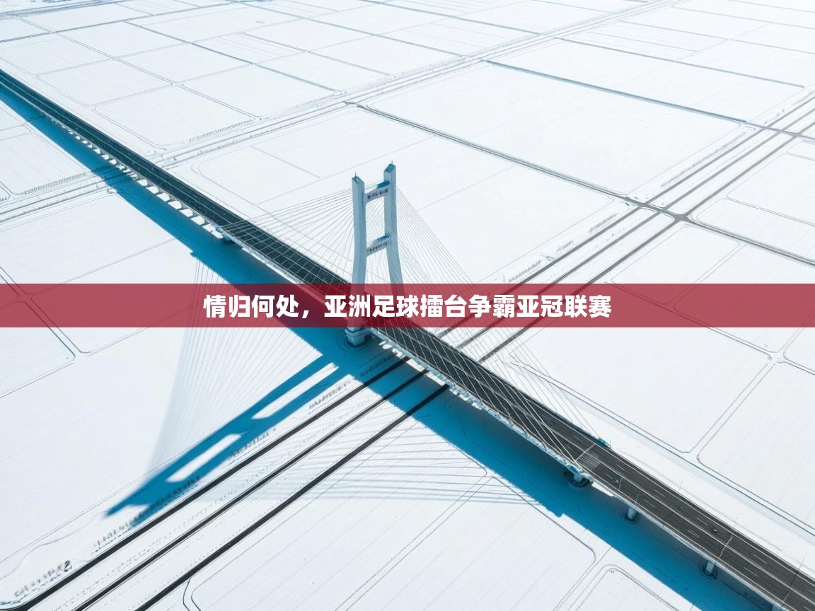 开运体育入口-情归何处,亚洲足球擂台争霸亚冠联赛 第4张