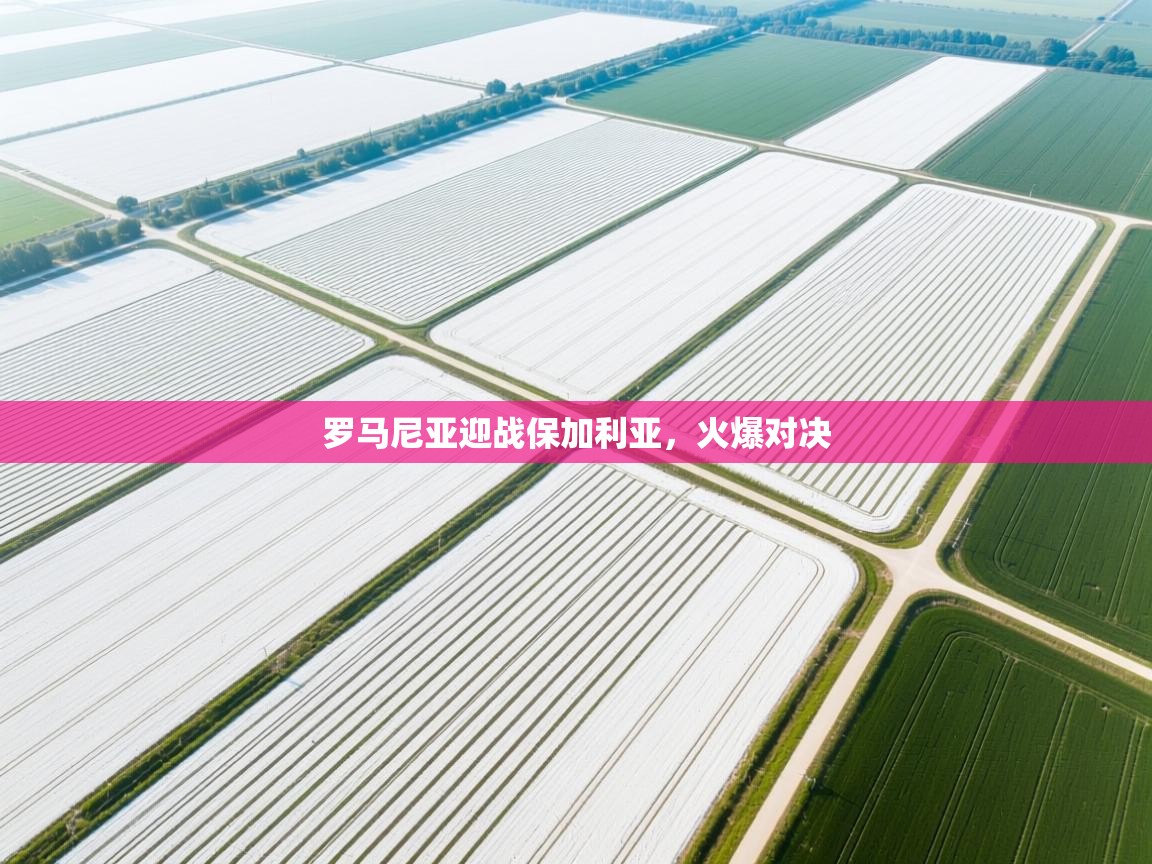 开云体育app下载安卓-罗马尼亚迎战保加利亚,火爆对决 第4张