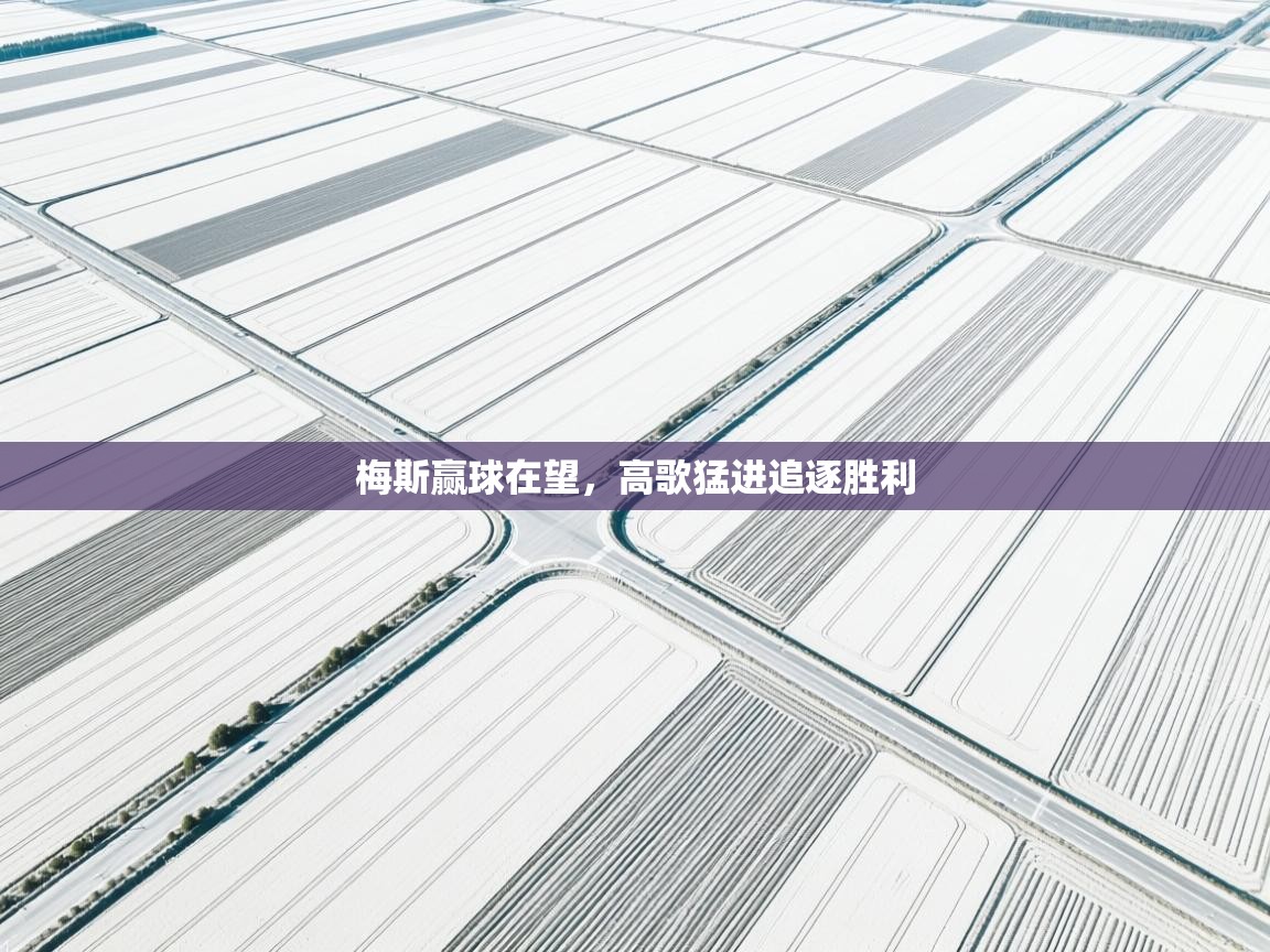 开云体育入口注册-梅斯赢球在望，高歌猛进追逐胜利  第2张