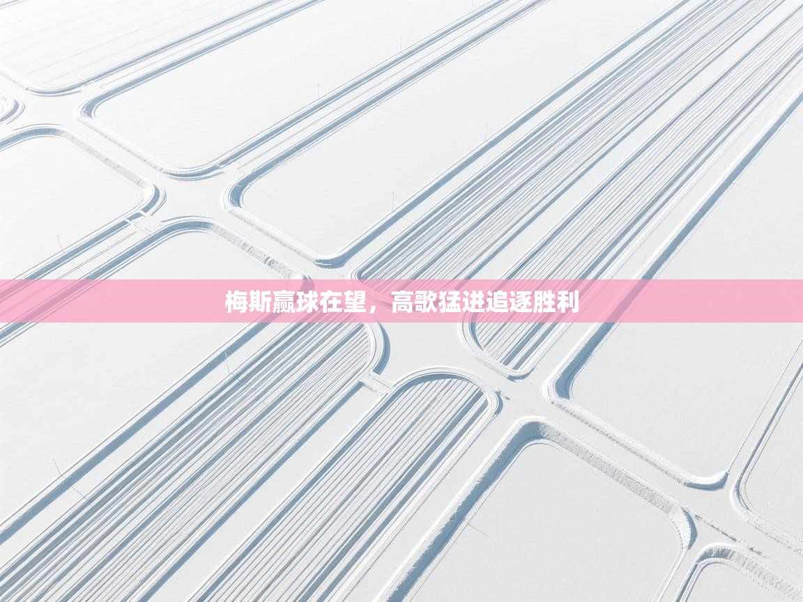 开云体育入口注册-梅斯赢球在望，高歌猛进追逐胜利  第3张