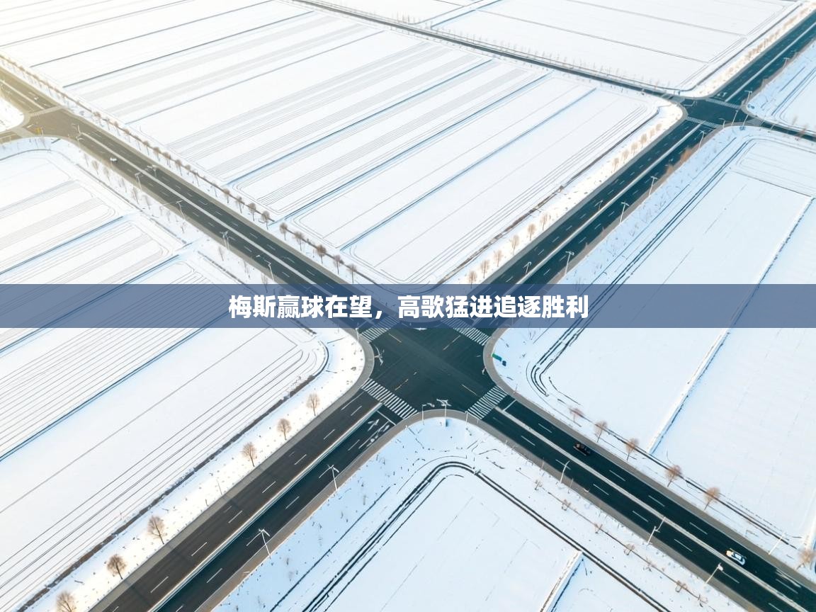 开云体育入口注册-梅斯赢球在望，高歌猛进追逐胜利  第4张