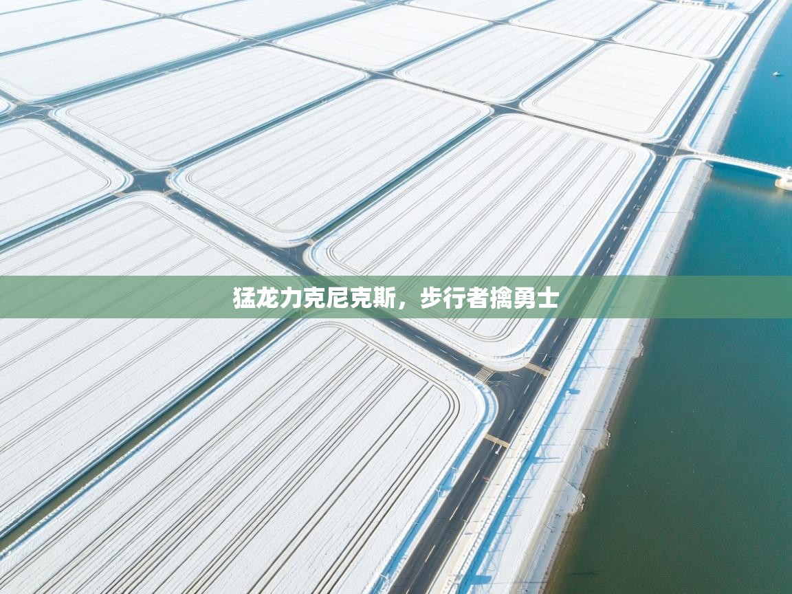 开云体育入口客服-猛龙力克尼克斯，步行者擒勇士