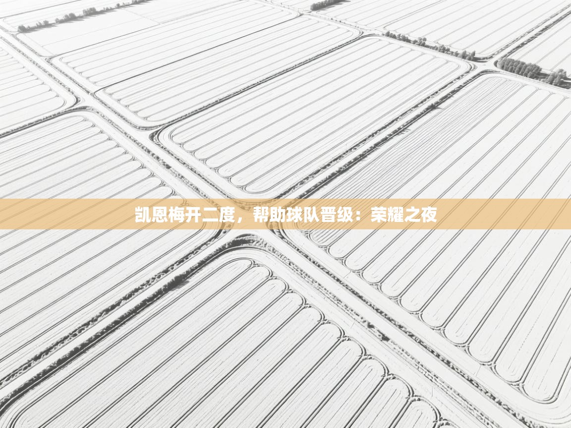 kaiyun开运·体育官方网站-凯恩梅开二度，帮助球队晋级：荣耀之夜  第2张