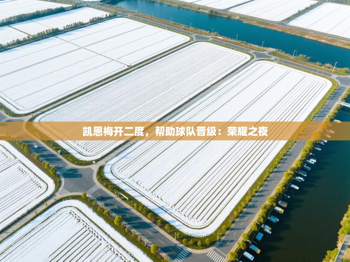 kaiyun开运·体育官方网站-凯恩梅开二度，帮助球队晋级：荣耀之夜  第3张